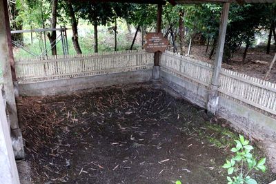 MASS GRAVE TO OVER 86 VICTIMS