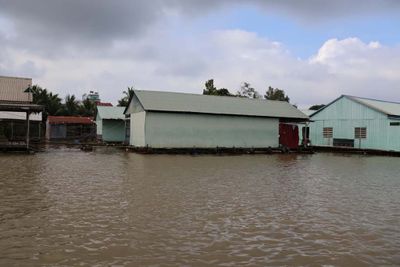 FISH FARMS