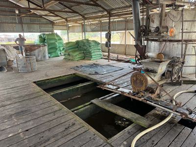 FISH FARM