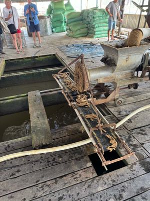 FISH FARM