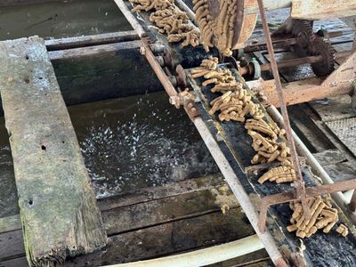 FISH FARM