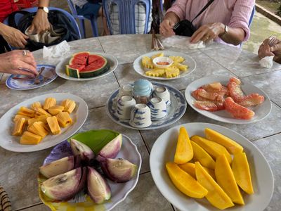 SAMPLES OF THE PRODUCE