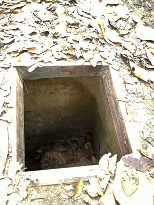 SOLDIER SHOWS HOW VIET CONG HID WAITING TO AMBUSH