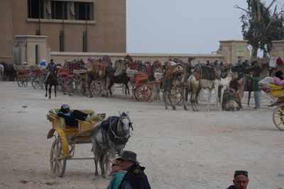 THE BUGGY PARKING LOT