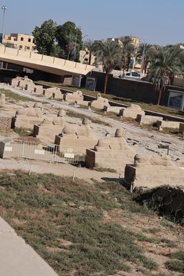 AVENUE OF THE SPHINXES