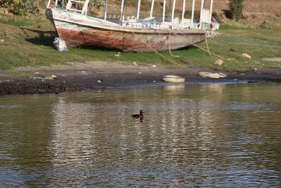 BOAT TRIP TO THE NUBIAN VILLAGE
