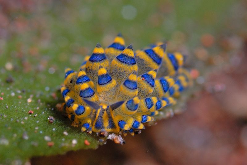 Diving in Tulumben Northern Bali 2023