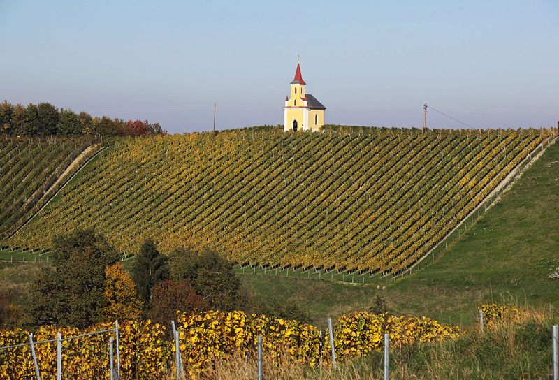 South Styrian Wine Routes (part1)