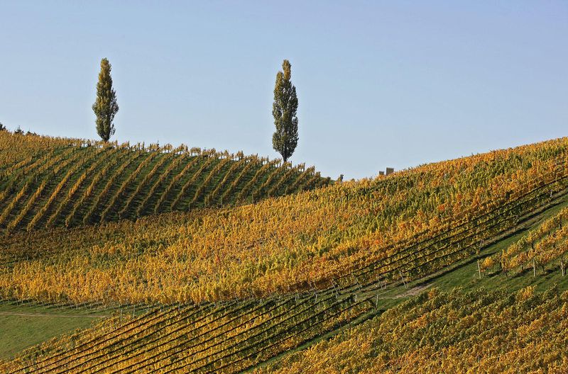 Wine Route14