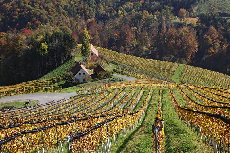 South Styrian Wine Routes (part2)