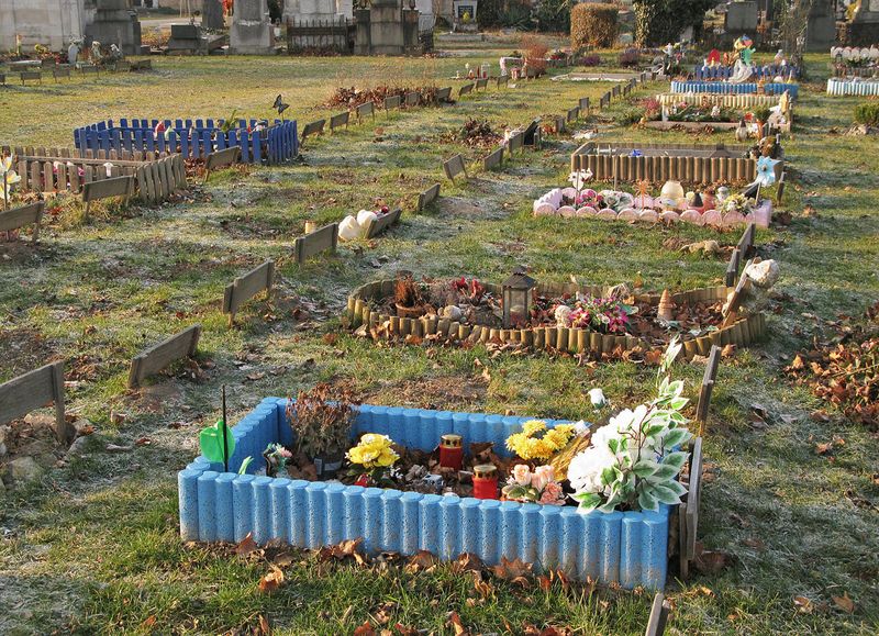 Baby Cemetery3