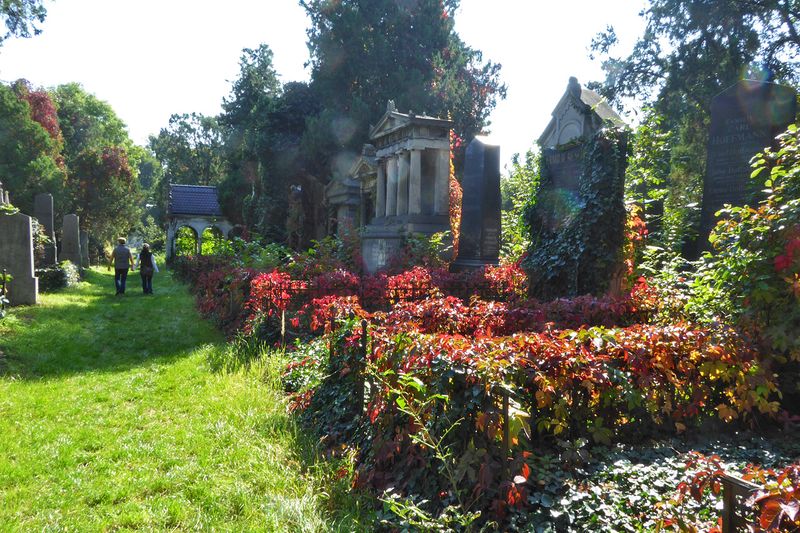 Vienna Central Cemetery
