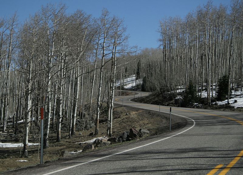 On the Road086.jpg