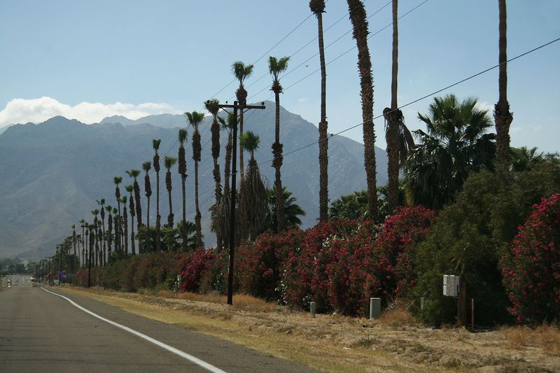 On the Road123.jpg