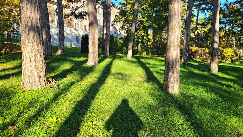 Steinhof Hospital Area in Autumn
