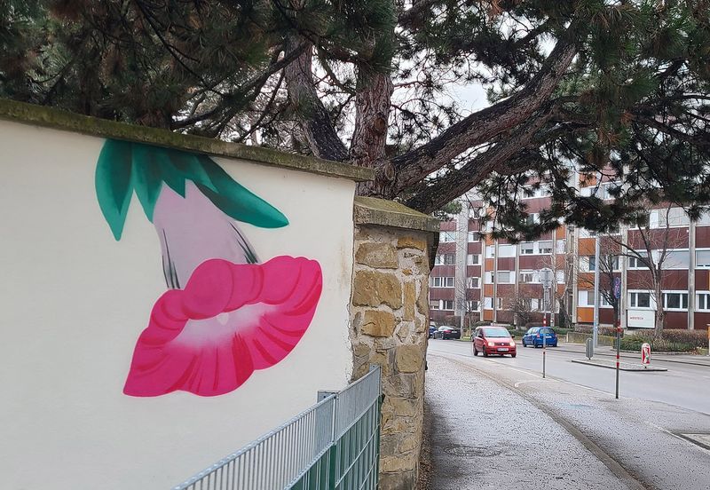 Street Art in Vienna