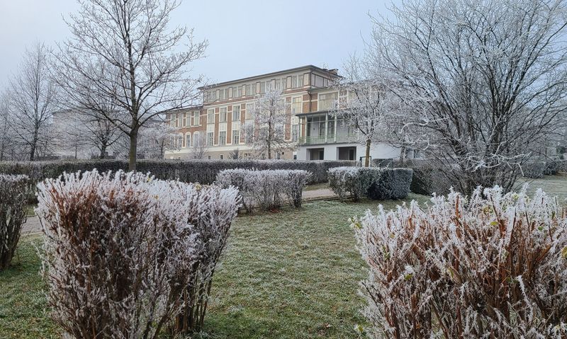 Touch of Winter in Vienna