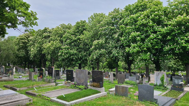 Spring at the Baumgartner Cemetery