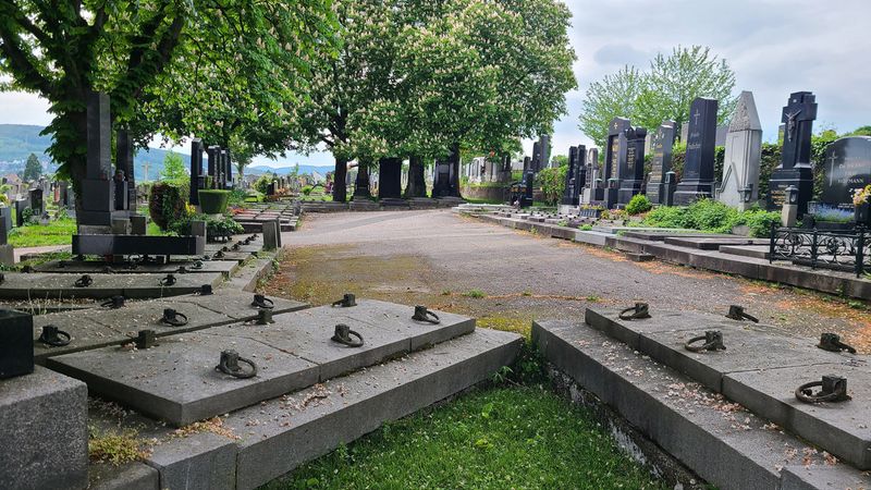 Spring at the Baumgartner Cemetery