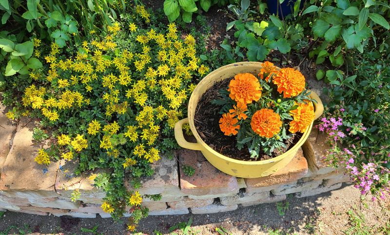 Arts & Crafts - Garden Culture in Lower Austria