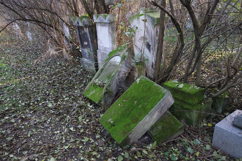 Cemetery St.Marx30.jpg