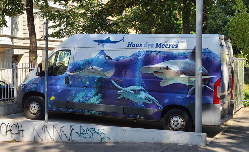 Vehicles that attract Attention