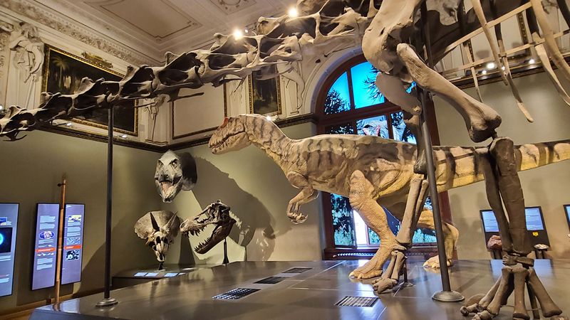 Naturhistorisches Museum Wien