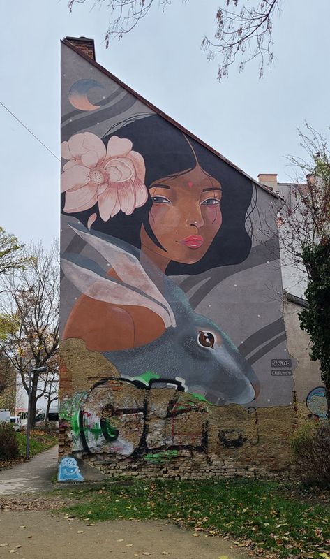 Calle Libre in Vienna