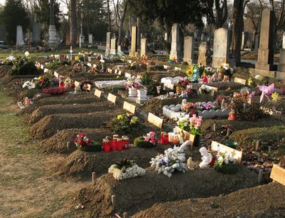 Baby Cemetery5