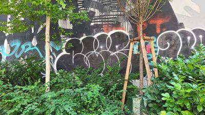 Street Art26