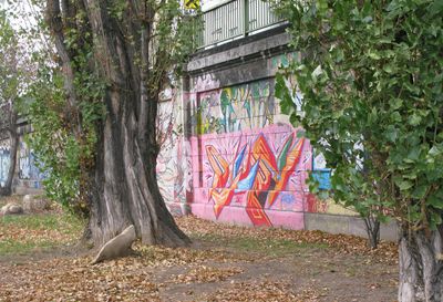 Street Art108
