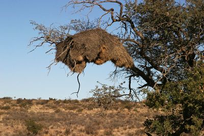 Namibia12.jpg