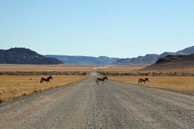 Namibia22.jpg