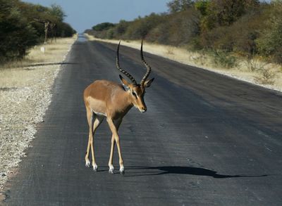 Namibia32.jpg