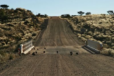 Namibia33.jpg