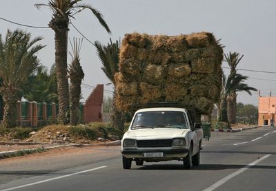 Tarroundant_Marrakesch3.jpg