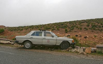 g13/69/31969/3/174902741.31c7452f.JPEG