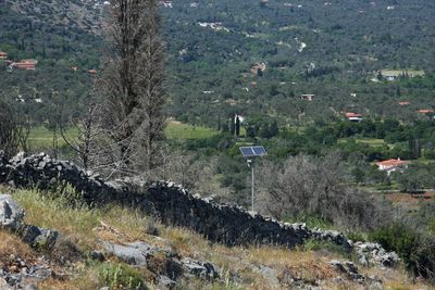 Greece35.jpg