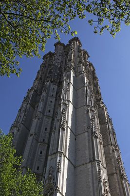St. Rumbold's Cathedral1