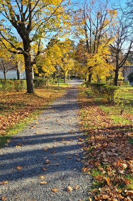 Steinhof,Autumn09.jpg