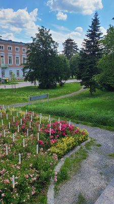 Steinhof Summer03.jpg