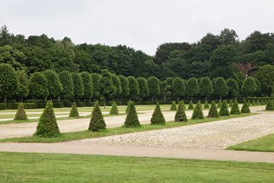 Schlo Moritzburg9