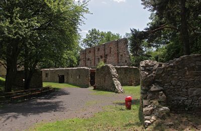 Ruine Landsee01.jpg