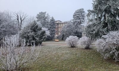 Hospital Steinhof13