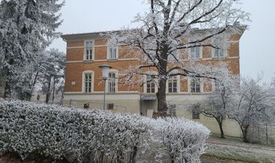 Hospital Steinhof15