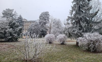 Hospital Steinhof3
