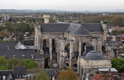 Arras20