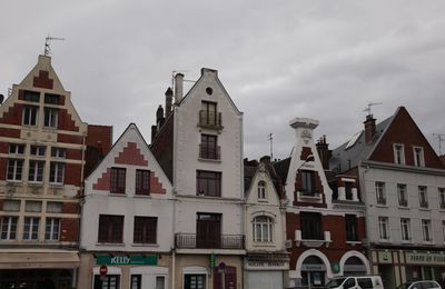 Arras6