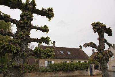 Pierrefonds --> Soissons5