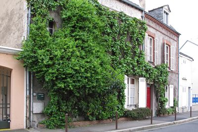 Orleans104.jpg